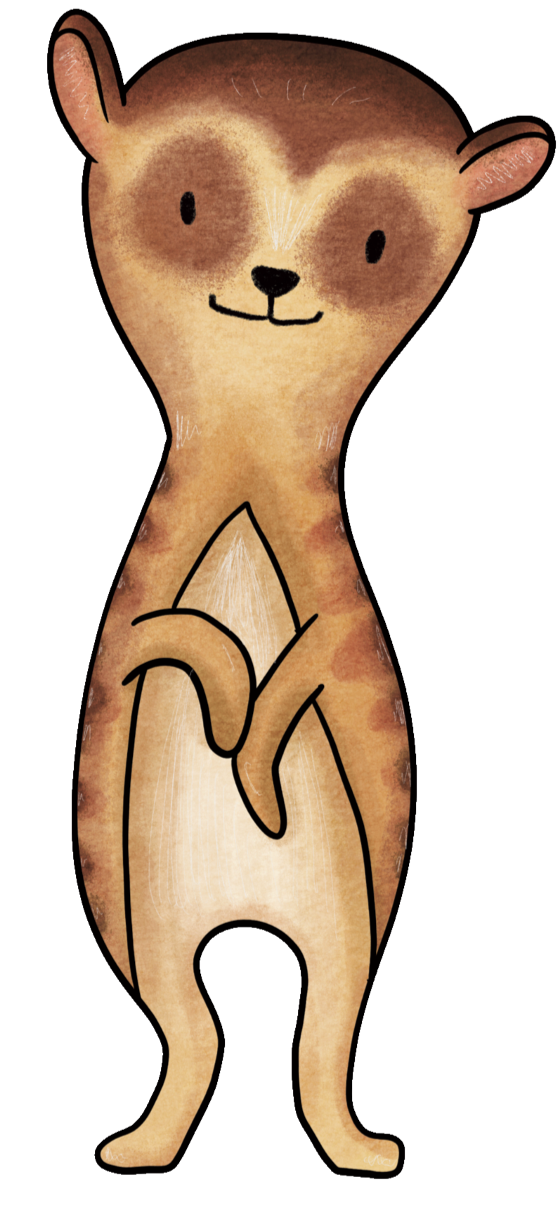 Colop Printer 20 Covers