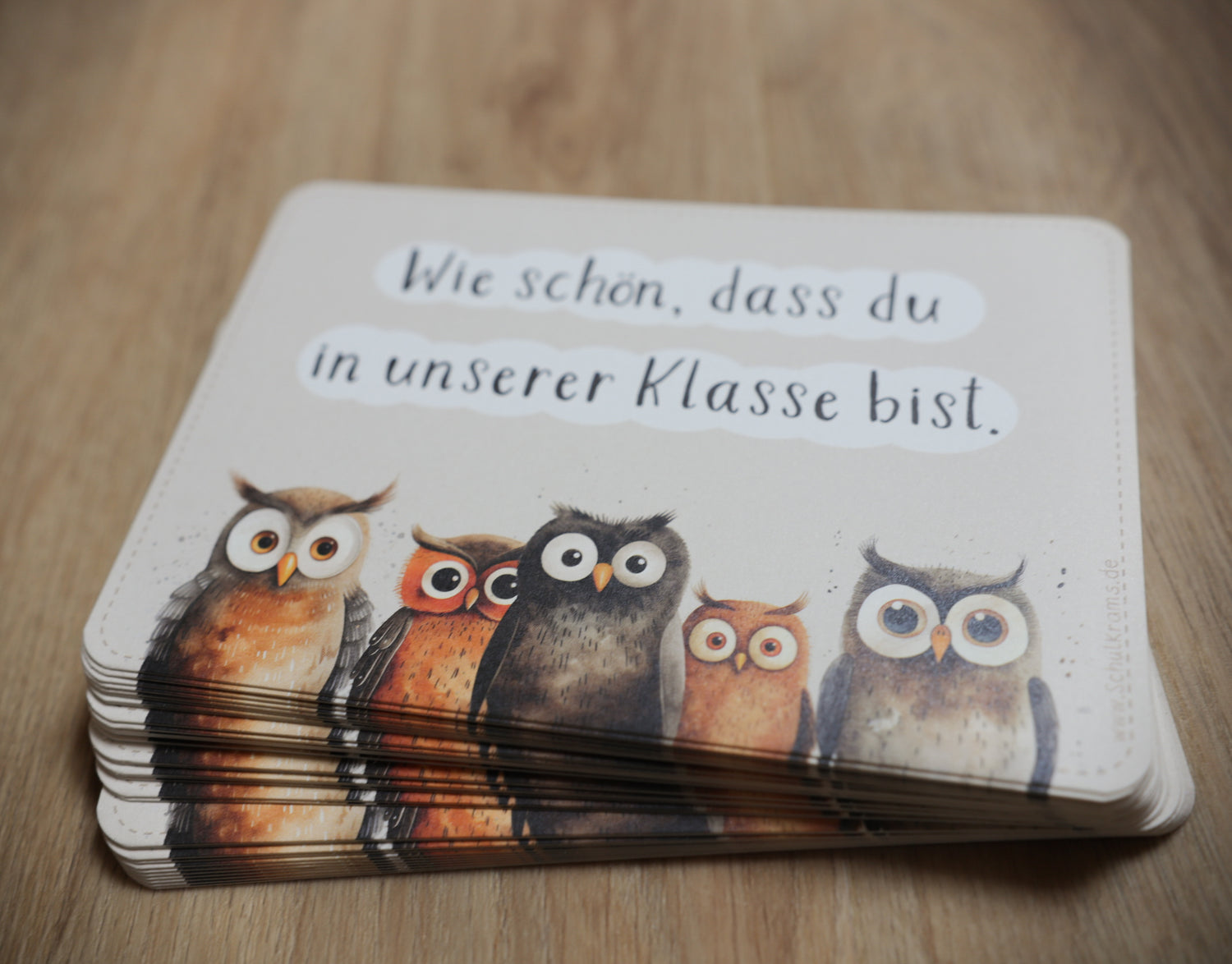 Postkarte Eulen "Wie schön, dass du in unserer Klasse bist!"
