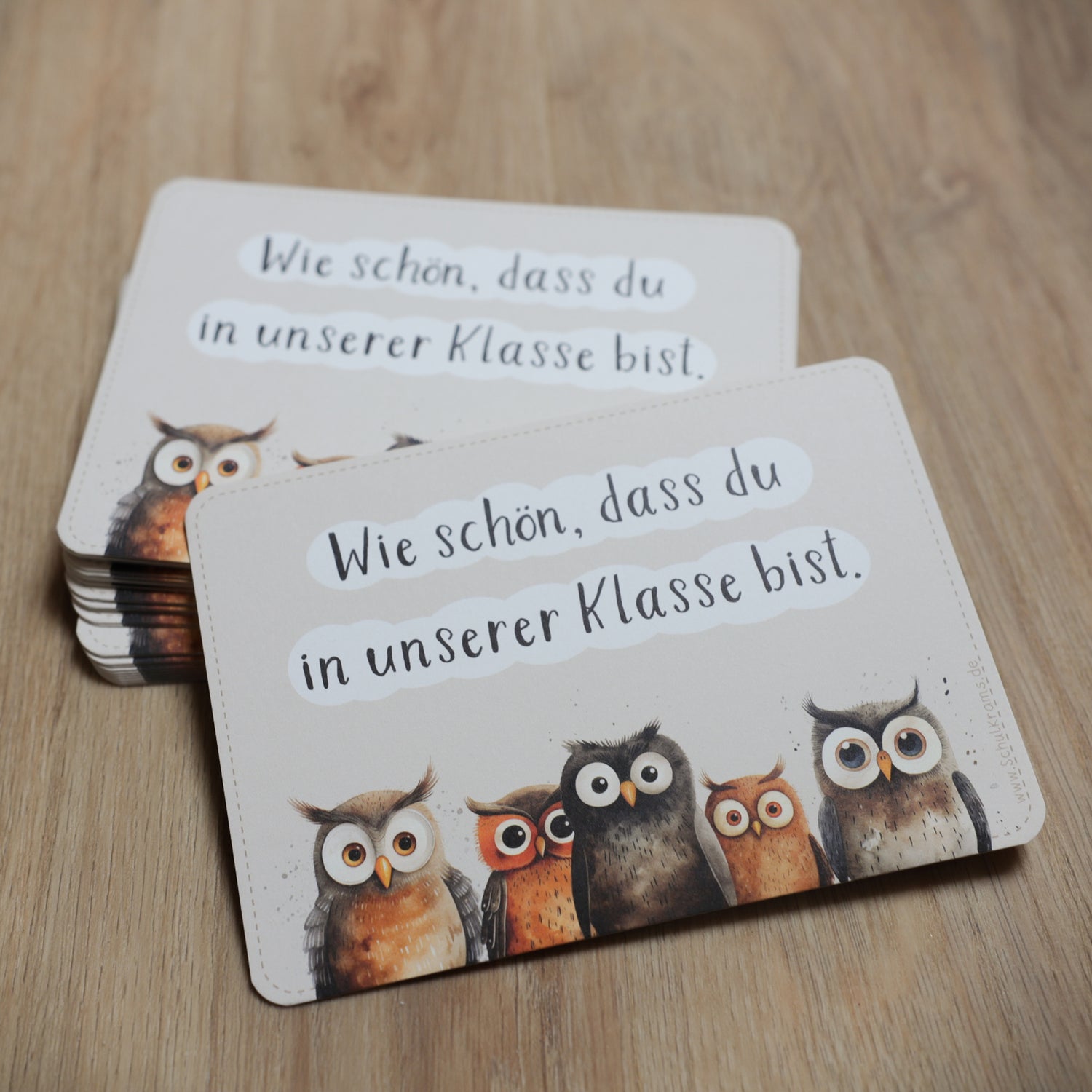 Postkarte Eulen "Wie schön, dass du in unserer Klasse bist!"