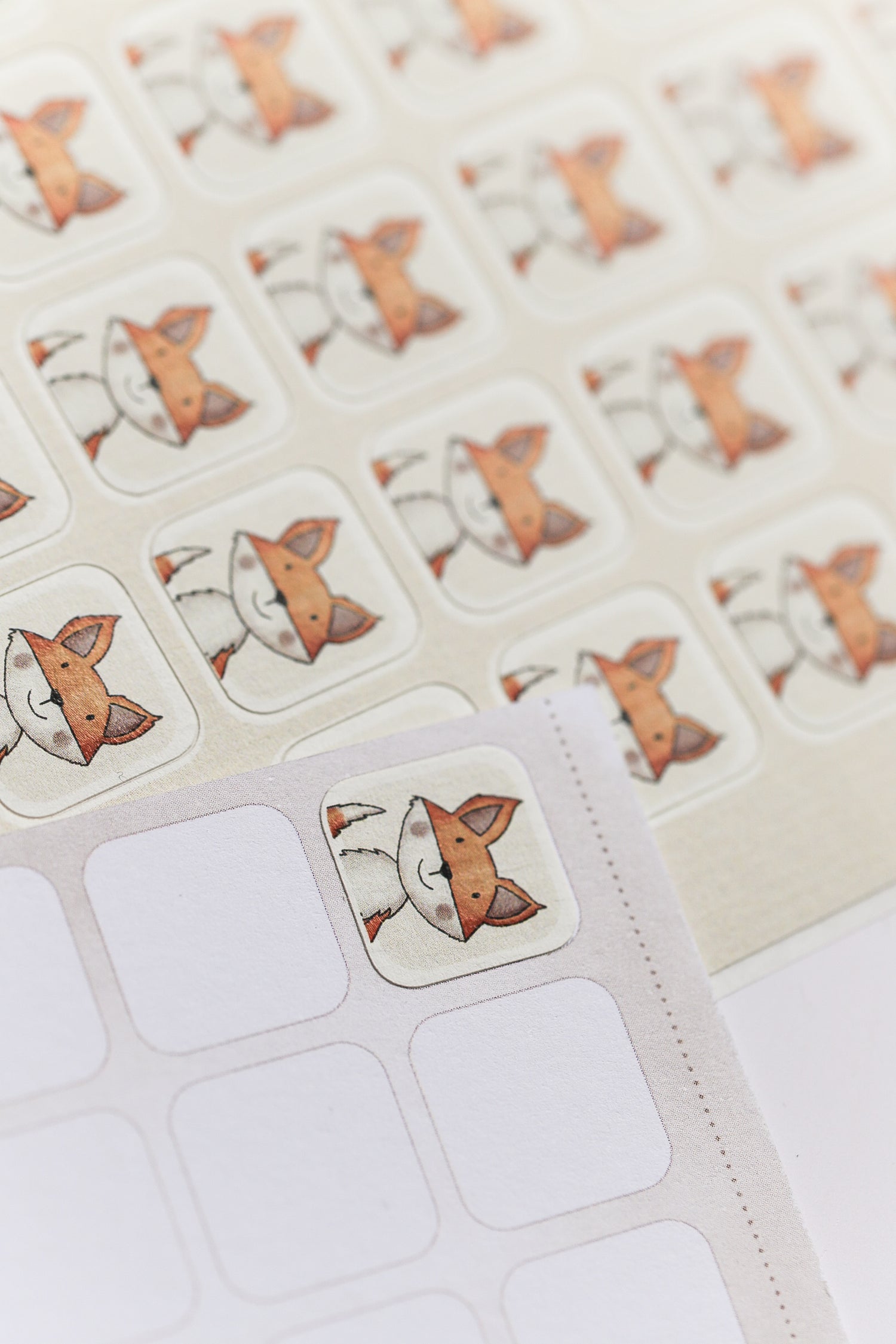 Klassensatz Sammelheft Fuchs (30 Stück) mit Fuchssticker-Bogen (150 Sticker)