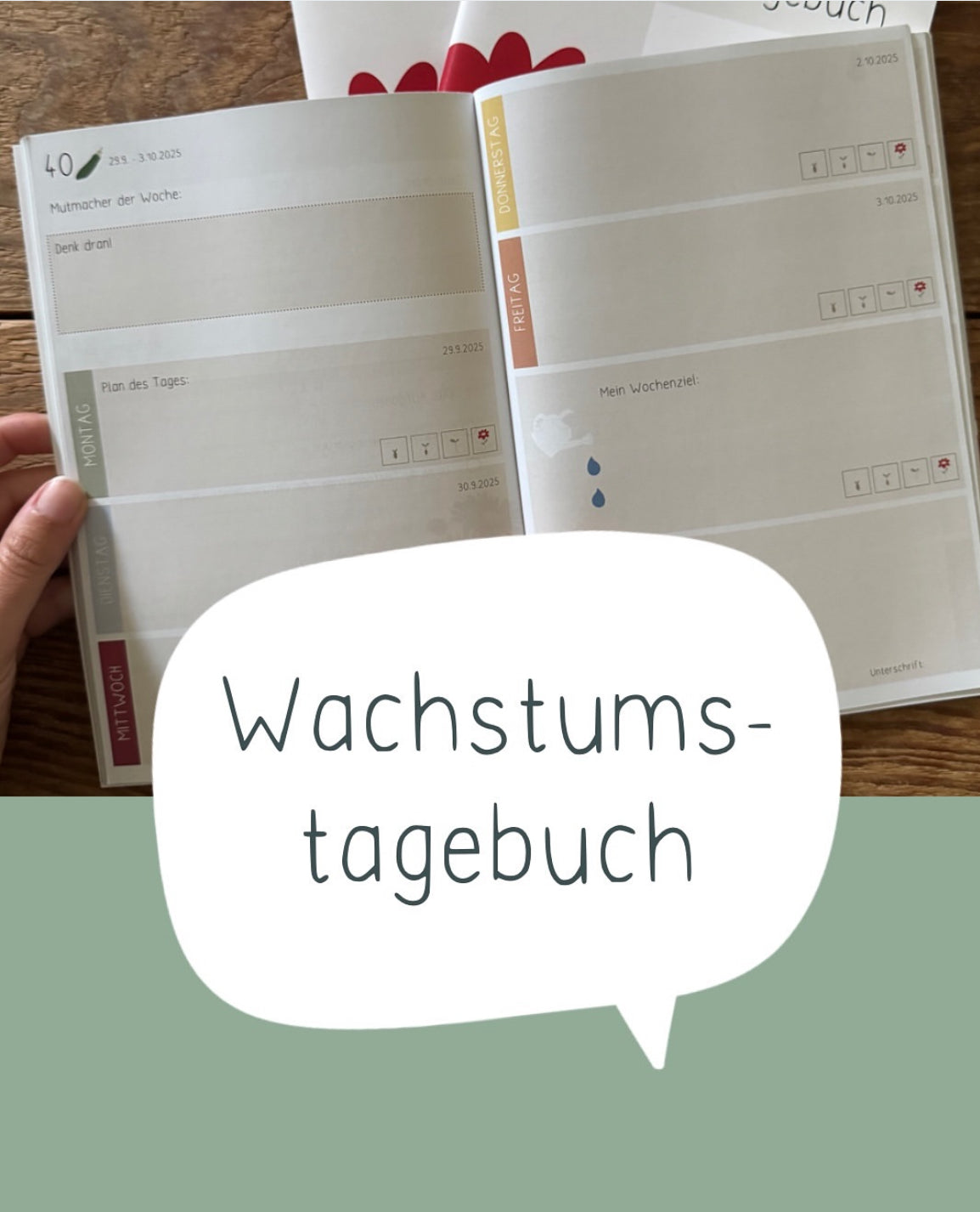 Wachstumstagebuch Schuljahr 2025/26 - DieGrundschulkiste X misserena