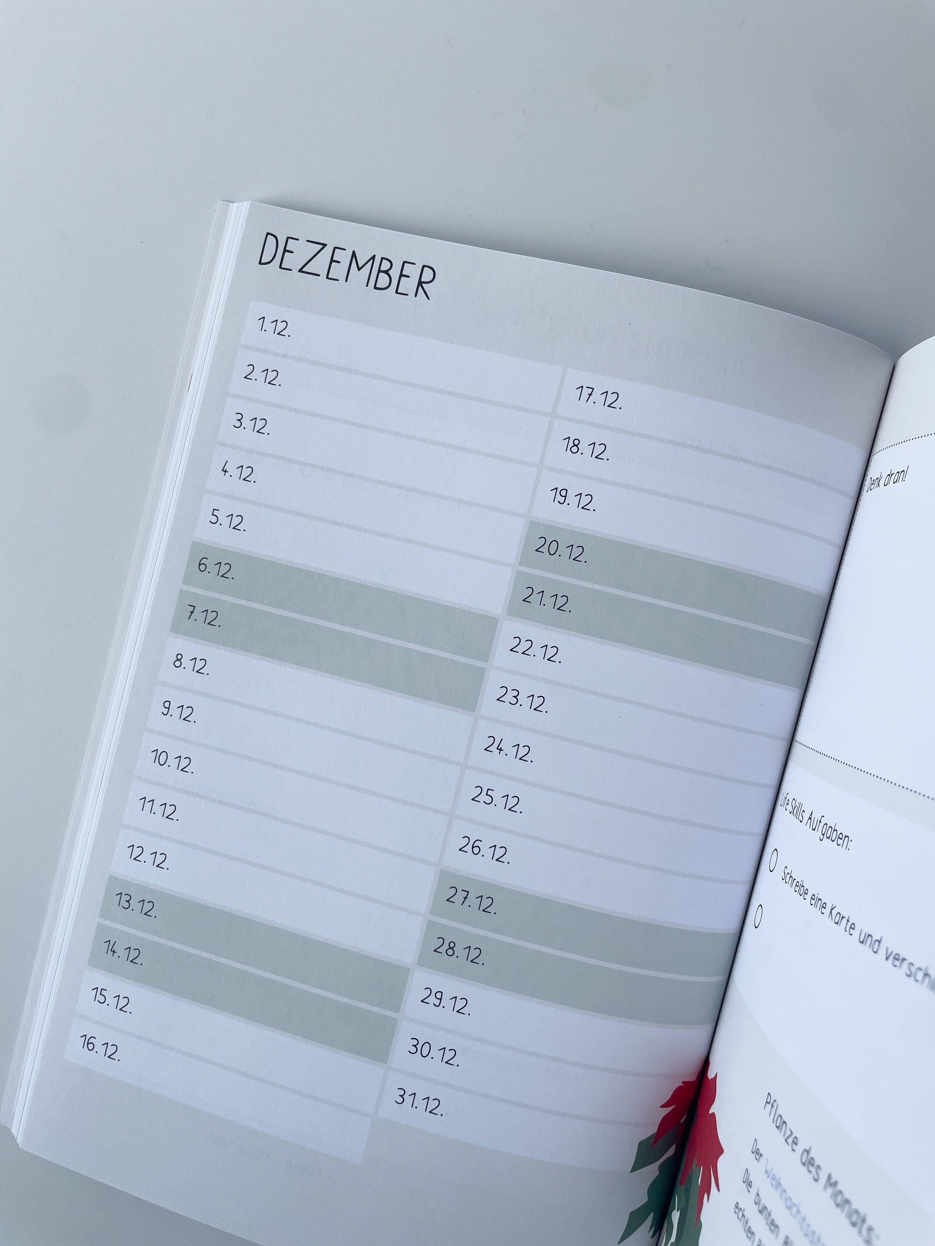 Wachstumstagebuch Schuljahr 2025/26 - DieGrundschulkiste X misserena