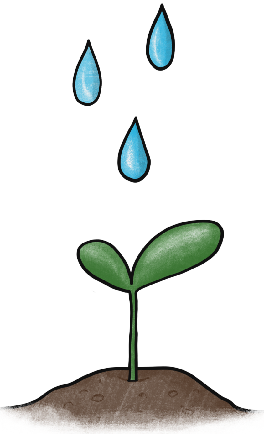 Colop Printer 20 Covers