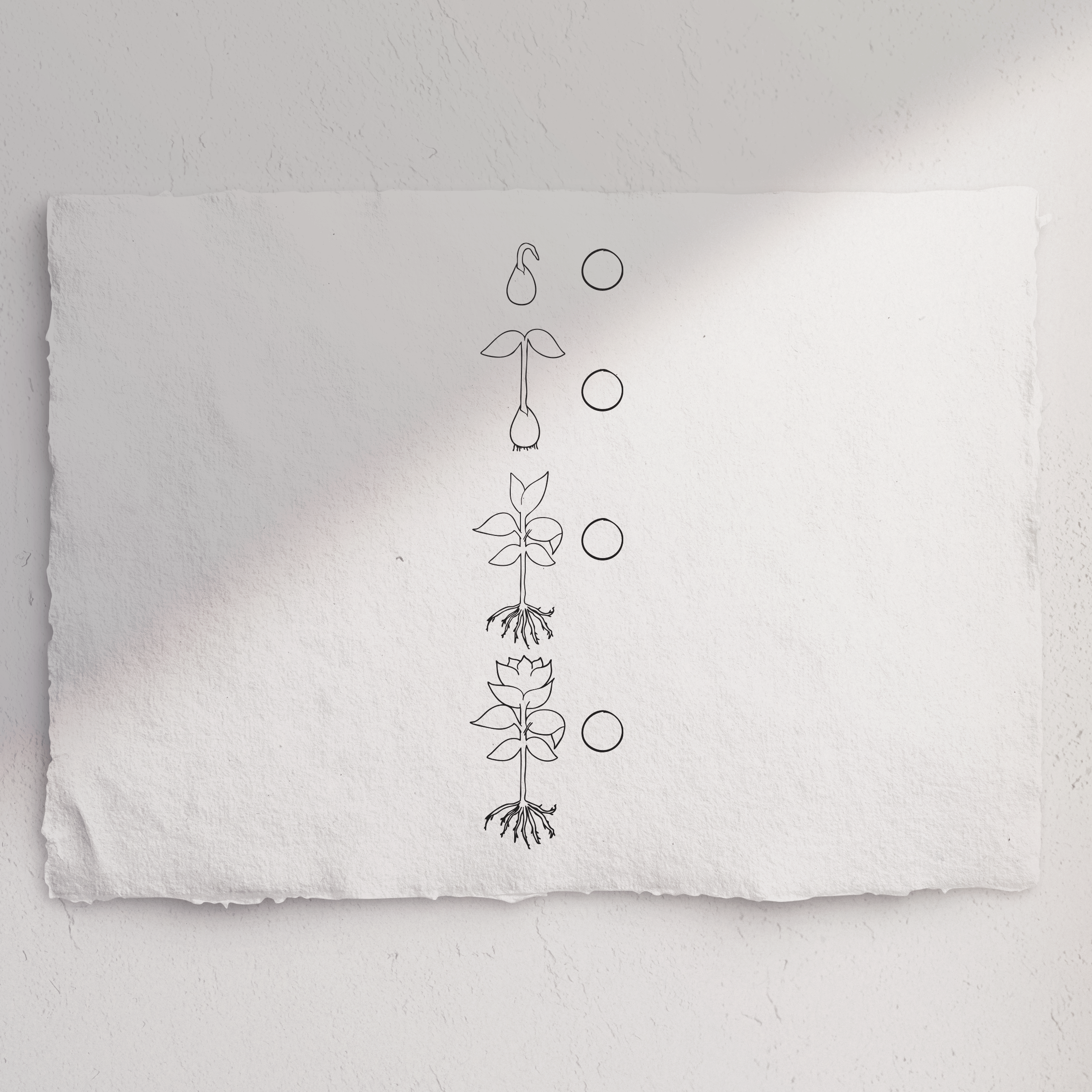 Stempel Rückmeldung Pflanzensymbole - Pflanzenstempel mit Blume 4 Stufen hochkant zum Ankreuzen
