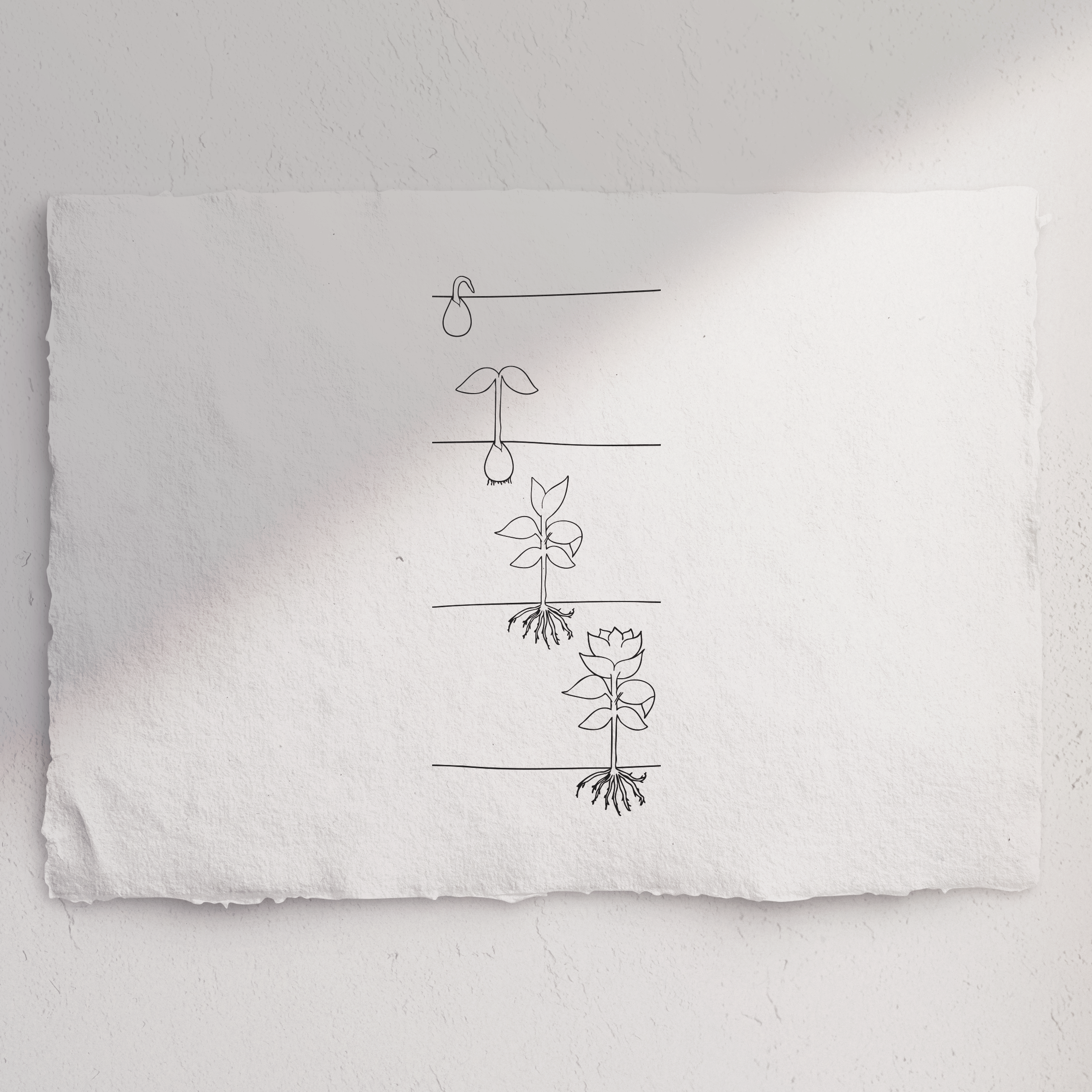 Stempel Rückmeldung Pflanzensymbole - Pflanzenstempel mit Blume 4 Stufen hochkant