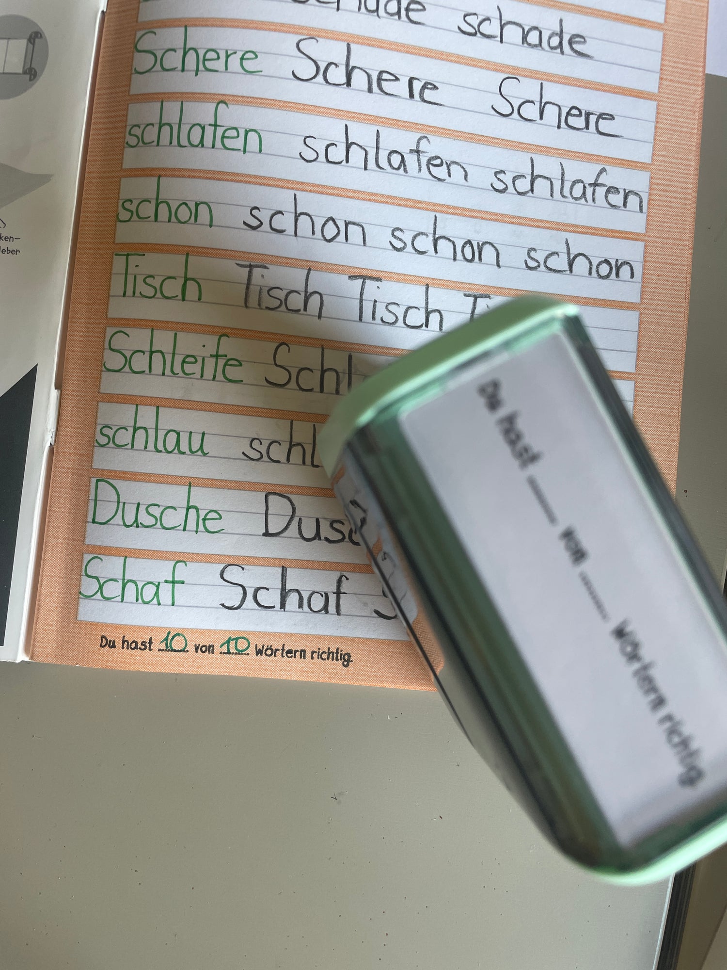 Stempel - "Du hast .......... von .......... Wörtern richtig."  (Modell 4913 - Abdruckfläche 58 x 22mm)