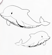 Edy Defline - After Messe Angebot