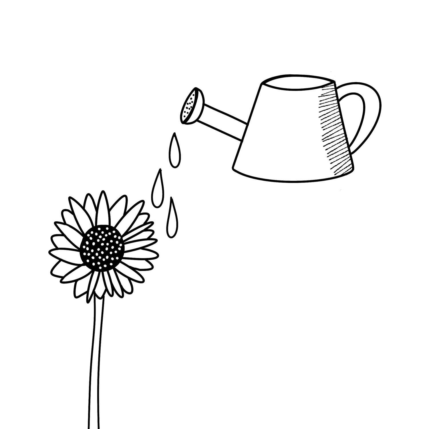 Bilder Edy - Symbole